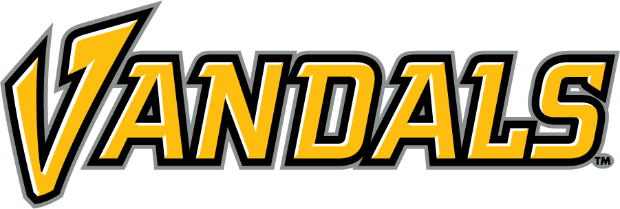 Idaho Vandals 2019-Pres Wordmark Logo v3 diy DTF decal sticker